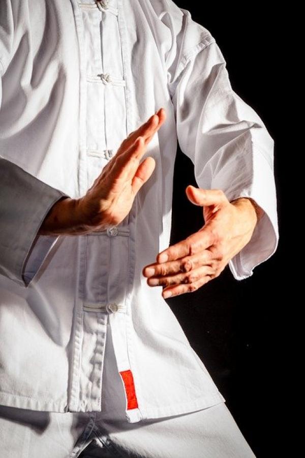 L’origine de l’art martial taoïste chinois appelé Tai Chi. (Image : 该图片由 / MichaelRaab / 在 / Pixabay /上发布)