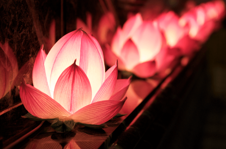 Légende Chinoise : La Lanterne Magique de Lotus