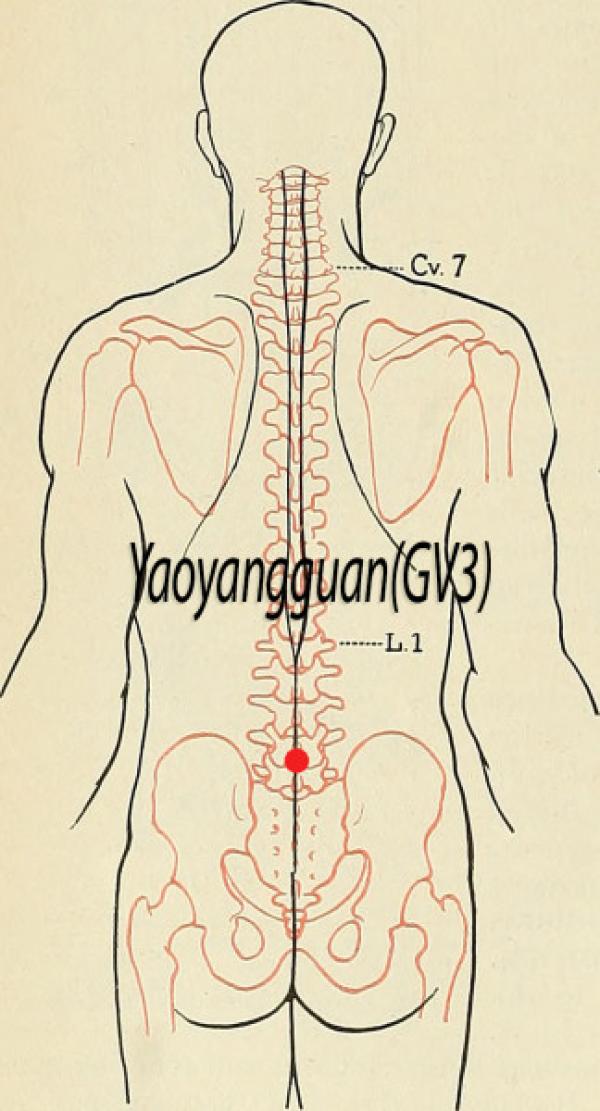 Point d'acupuncture Yaoyangguan GV4
