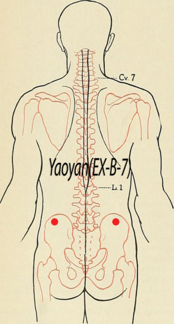 Point d'acupuncture Yaoyan EX-B-7 