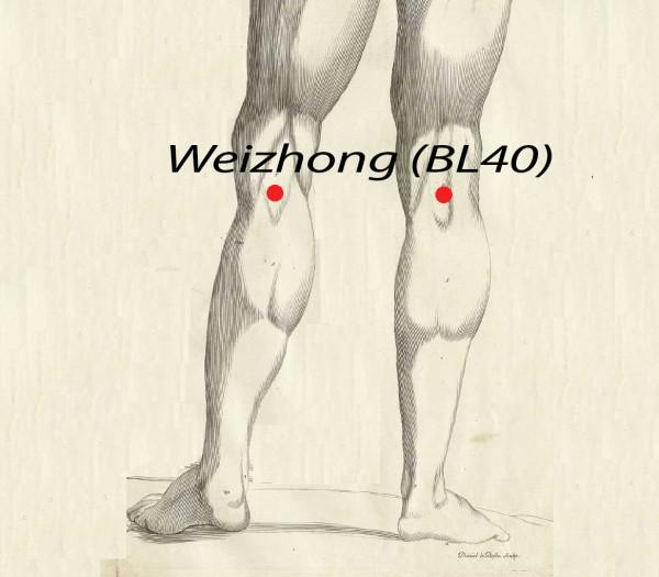 Point d'acupuncture Weizhong BL40 