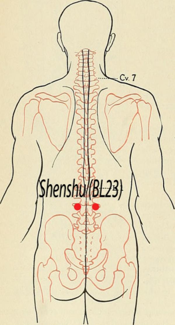 Point d'acupuncture Shenshu BL23 