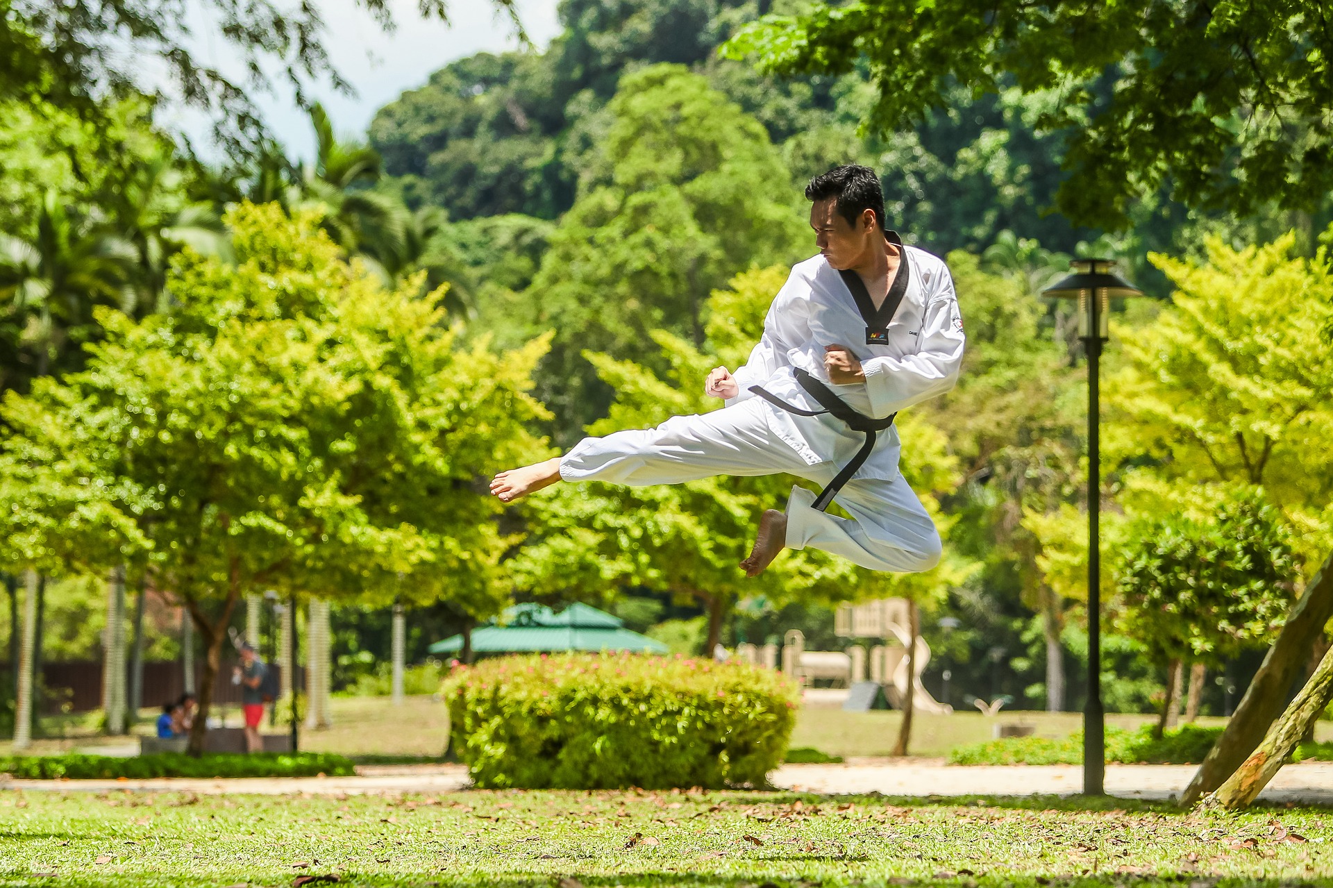 L’art martial du kung-fu est l’une des exportations culturelles les plus exceptionnelles de Chine. (Image: Danieltayxs / Pixabay)
