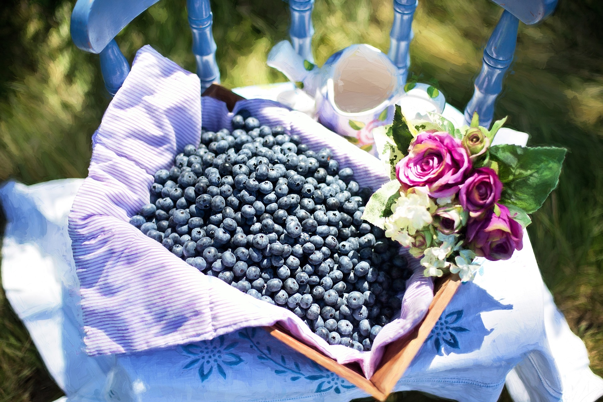 L'anthocyanine est le pigment végétal qui donne aux fruits et légumes bleus/violets leur couleur distinctive. Il a également une grande valeur nutritionnelle pour le corps humain. (Image: Jill Welington / Pixabay)