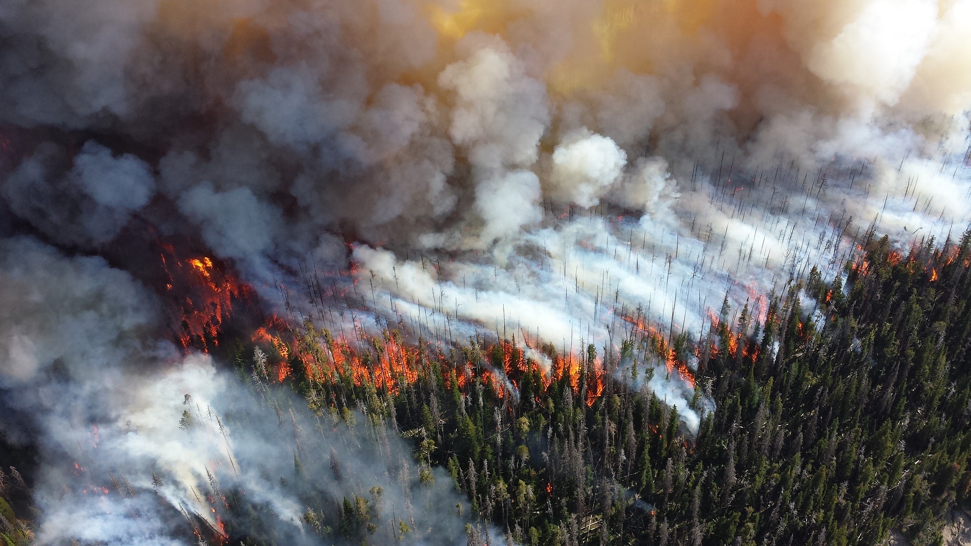 Le charbon de bois produit par les incendies de forêt pourrait retenir le carbone pendant des centaines d'années et contribuer à atténuer les changements climatiques. (Image: Skeeze / Pixabay)