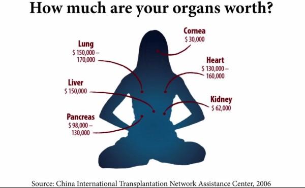 L'une des images de diapositives utilisées dans une conférence TEDx sur le prélèvement forcé d'organes en Chine. (Image: TEDx Talks via YouTube / Capture d'écran)
