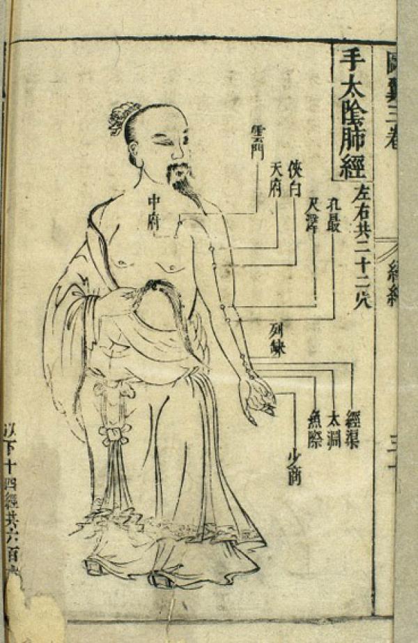 Tableau d'acupuncture chinoise du XVIIe siècle, montrant le trajet du canal pulmonaire taiyine de la main, avec les emplacements acu-moxa marqués. (Image : Wikimedia Commons)