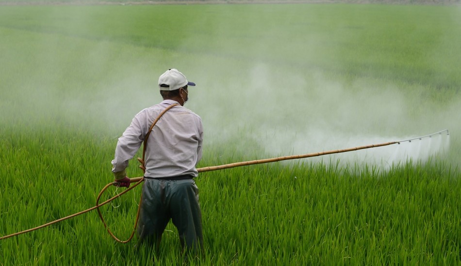 L'exposition aux pesticides est particulièrement préoccupante pour les femmes enceintes qui travaillent dans l'agriculture. (image via pixabay / CC0. 1.0)