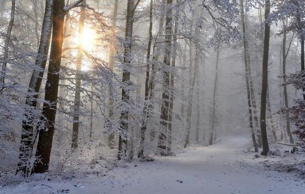 Le 1er janvier, on se promène facilement dans la nature souvent enneigée. (Image : Jörg Vieli / Pixabay)