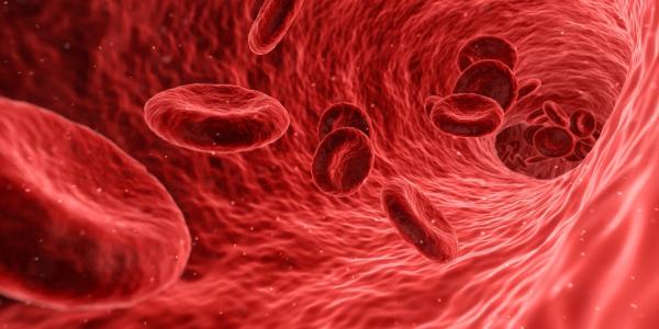 Le biologiste américain Michael J. Behe a pris une série de mécanismes biochimiques de coagulation sanguine pour expliquer que des phénomènes de vie aussi compliqués et précis ne peuvent pas se produire par évolution. (Image: Pixabay.com)