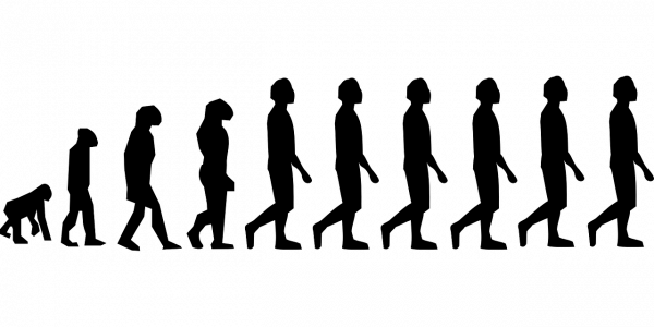 La théorie de Darwin avance que l'évolution est la transformation du monde vivant au cours du temps.. Les résultats que les scientifiques observent à présent ne sont pas les mêmes. L'archéologie n'a jamais rien trouvé comme preuves tangibles pour expliquer comment on a évolué d'une espèce à l'autre et quel était l’état transitoire entre le singe et l’Homme. (Image: Pixabay.com)