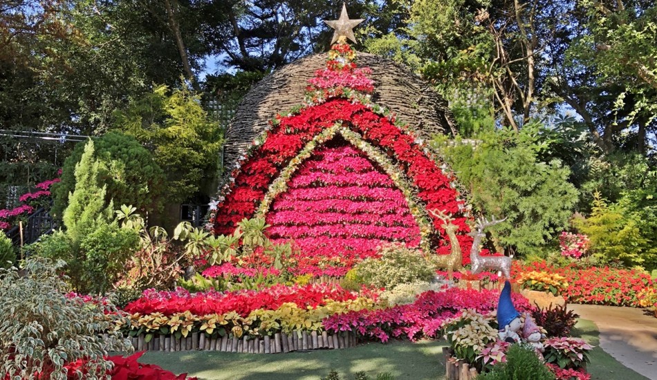 Château de Noël élaboré à partir de plantes dans une ferme du comté de Maoli à Taiwan. (Image: Billy Shyu / Vision Times)