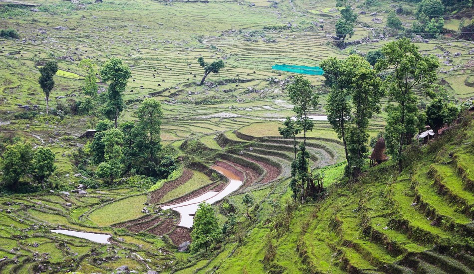 Le Sikkim est le premier état 100 % bio au monde.(Pixabay)
