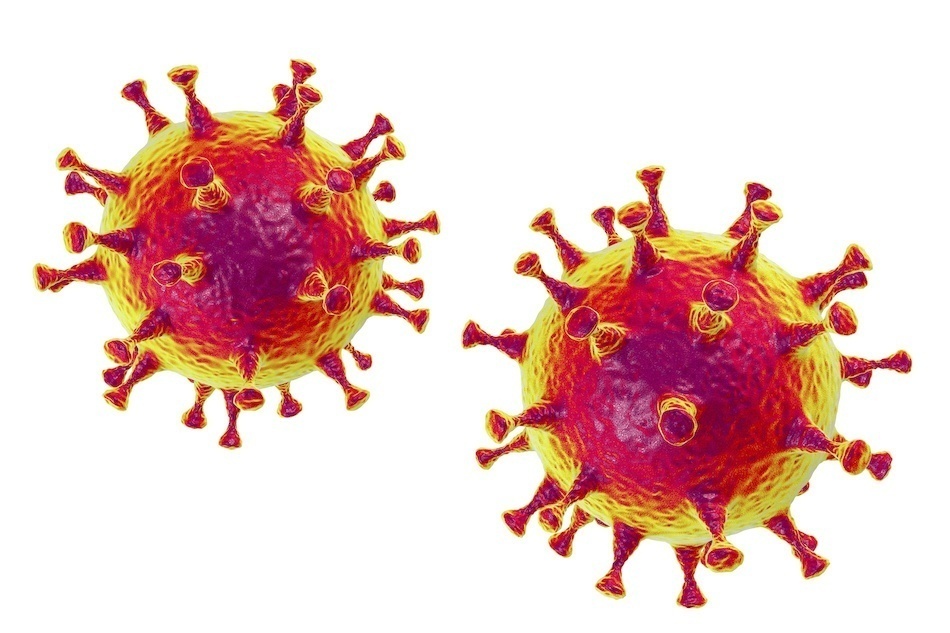Un Schéma du coronavirus. (Kateryna Kon / 123rf)