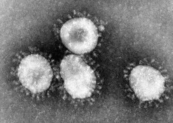 Le virus à couronne ou CoV. (Image : CDC/Dr. / Fred Murphy / Domaine public)