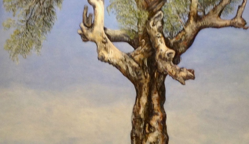 Photo d’une peinture de gommier rouge (Eucalyptus camaldulensis) de la collection Portraits d’arbres urbains dans l’exposition «For I Have Learned to Look on Nature». (Car j’ai appris à regarder la nature) de Fran Lee. (Image : Trisha Haddock / Vision Times)