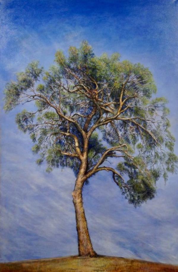 Photo d’une peinture de gommier jaune (Eucalyptus mellodora) de la collection Portraits d’arbres urbains dans l’exposition «For I Have Learned to Look on Nature» de Fran Lee. (Image : Trisha Haddock / Vision Times)