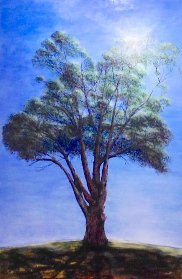 Photo d’une peinture d’acajou du Sud (Eucalyptus botryoides) de la collection Portraits d’arbres urbains dans l’exposition «For I Have Learned to Look on Nature» de Fran Lee. (Image : Trisha Haddock / Vision Times)