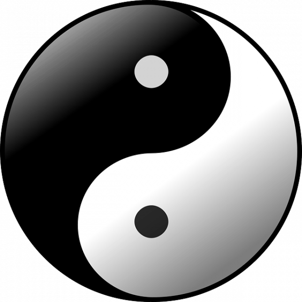 Selon la théorie de la médecine traditionnelle chinoise, la raison pour laquelle une personne peut être infectée par un virus est qu’il n’y a pas suffisamment d’énergie « yang » dans le corps. (Image :  OpenClipart-Vectors / Pixabay)