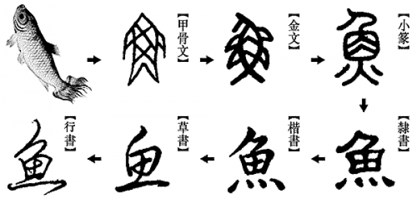 Le caractère « poisson » dans ses différents styles, présent dans la série de dessins animés The Wonderful World of Chinese Characters (悠游字在). (Image : VisionTimes)