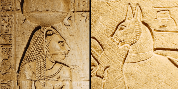 Le chef perse savait que les Égyptiens considéraient les chats comme sacrés, alors il en emmena des centaines sur le champ de bataille. (Image : Capture d’écran / YouTube)