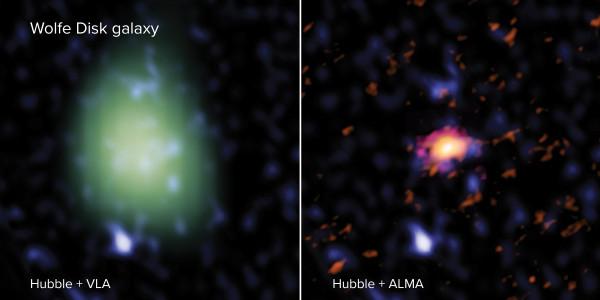 Le disque Wolfe vu avec ALMA (droite - en rouge), VLA (gauche - en vert) et le télescope spatial Hubble (les deux images - bleu). À la lumière radio, ALMA a regardé les mouvements et la masse de la galaxie de gaz atomique et de poussière et le VLA a mesuré la quantité de masse moléculaire. À la lumière UV, Hubble a observé des étoiles massives. L’image VLA est faite dans une résolution spatiale inférieure à l’image ALMA, et semble donc plus grande et plus pixélisée. (Image : ALMA (ESO/NAOJ/NRAO), M. Neelema
