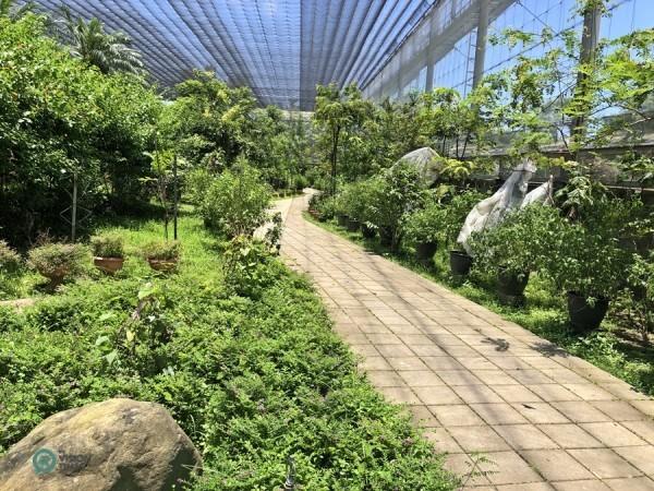 Le jardin écologique des papillons dans le parc écologique d’Asia Cement. (Image : Billy Shyu / Vision Times)