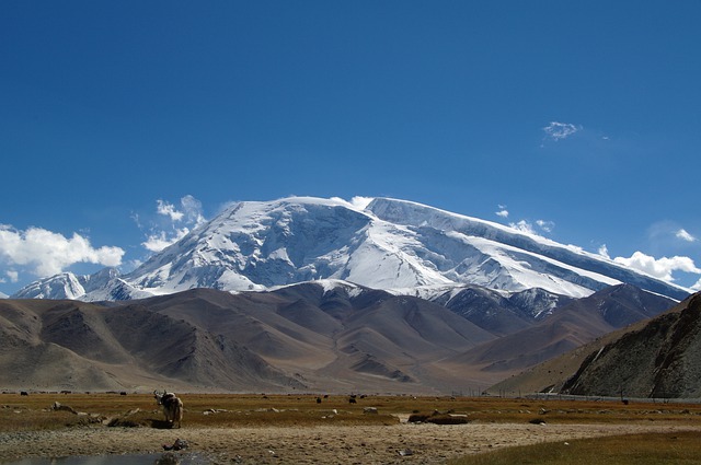 La vallée de Pamir dans le Xinjiang (Chine). (Image : Walter Frehner / Pixabay)