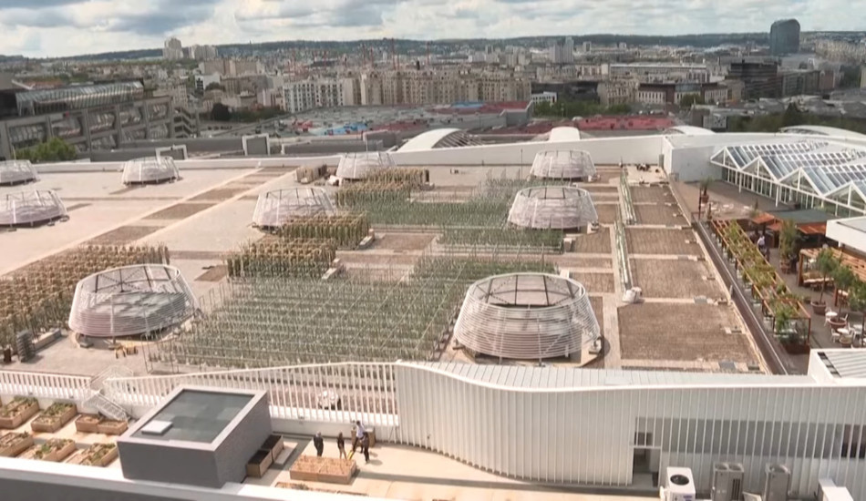La ferme urbaine aménagée sur un toit de Paris est l’une des plus grandes au monde. (Image : Capture d’écran / YouTube)