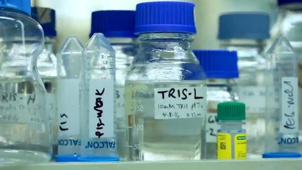 Le CSIRO est un organisme gouvernemental australien qui participe à la recherche scientifique de pointe. (Image : Capture d’écran / YouTube)