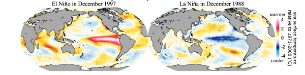 1997 El Nino avec l’eau chaude (en rouge), et 1988 La Nina avec l’eau froide (en bleu) dans le Pacifique. (Image : University of Hawaiʻi at Mānoa)