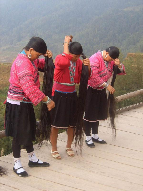 Les femmes de la tribu des Yao ont de très longs cheveux qu’elles rincent à l’eau de riz fermenté pour les fortifier. Peut-être que Raiponce était Yao ?  (Image : Wikimedia /Vberger / Domaine public)