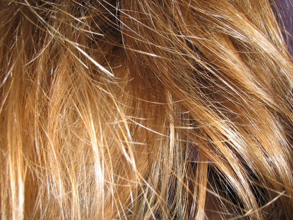 La perte de cheveux signifie un déséquilibre dans le corps et se caractérise par cinq manifestations. (Image : freeimages / CC0 1.0)