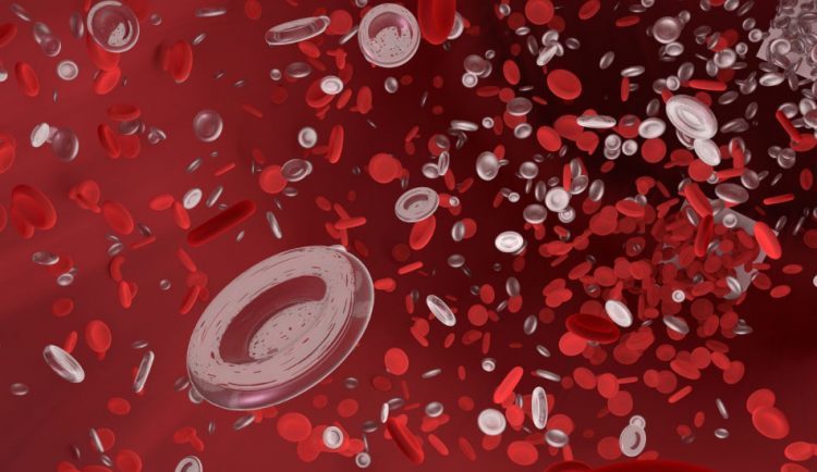 L’anémie est causée par un manque de globules rouges. (Image : Pixabay / CC0 1.0)