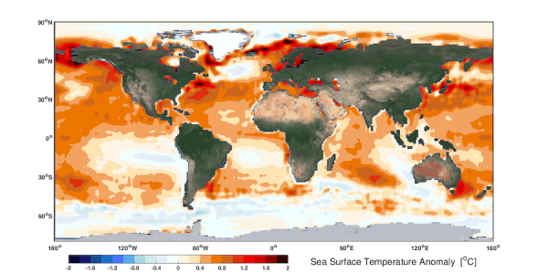 Anomalie de température à la surface de la mer, observée par satellite au cours des cinq dernières années (2015-2019), référence aux cinq premières années (1982-1986). Un réchauffement accru de l’océan apparaît au-dessus des régions subtropicales. Ces modèles de réchauffement étendent les zones d’eau chaude tropicales et entraînent l’expansion tropicale. Les rectangles rouges marquent les latitudes des gyres océaniques subtropicales où le processus dynamique de l’océan peut facilement accumuler de la chaleu