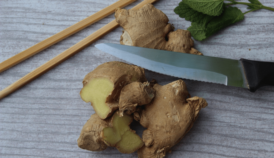 Le gingembre est la racine de la plante vivace officinale Zingiber. Les gens utilisent le gingembre comme plante médicinale depuis des siècles pour traiter de nombreuses affections, de l’arthrite aux douleurs abdominales. (Image : pixabay / CC0 1.0)