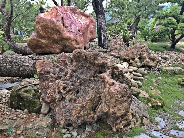 Il existe une grande variété de pierres aux formes étranges dispersées dans le jardin. (Image : Billy Shyu / Vision Times)