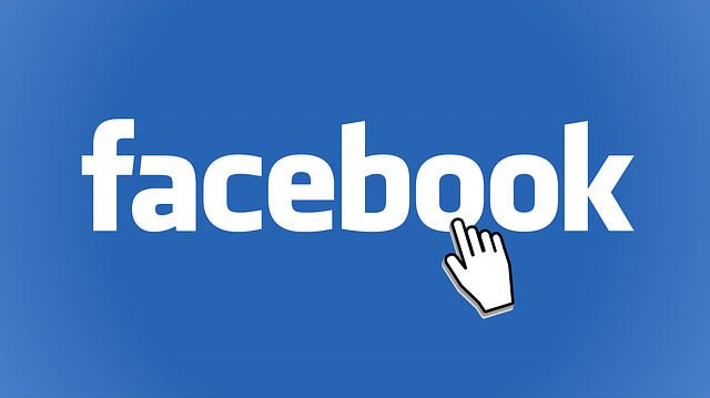Facebook investit massivement pour influencer la présidentielle. (Image : Simon Steinberger / Pixabay)