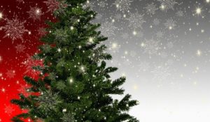 L’origine de l’arbre de Noël est attribuée à un rite païen datant de l’antiquité. Au moment du solstice d’hiver un arbre symbole de vie éternelle était honoré. (Image : Gerd Altmann / Pixabay)