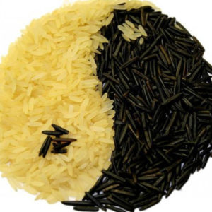 Tradition – Conte taoïste : Un bol de riz